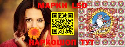 стаф Сланцы