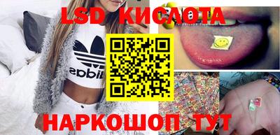 стаф Сланцы
