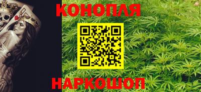 стаф Сланцы