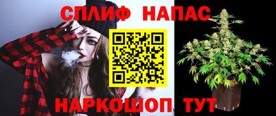 мяу мяу мука Славгород