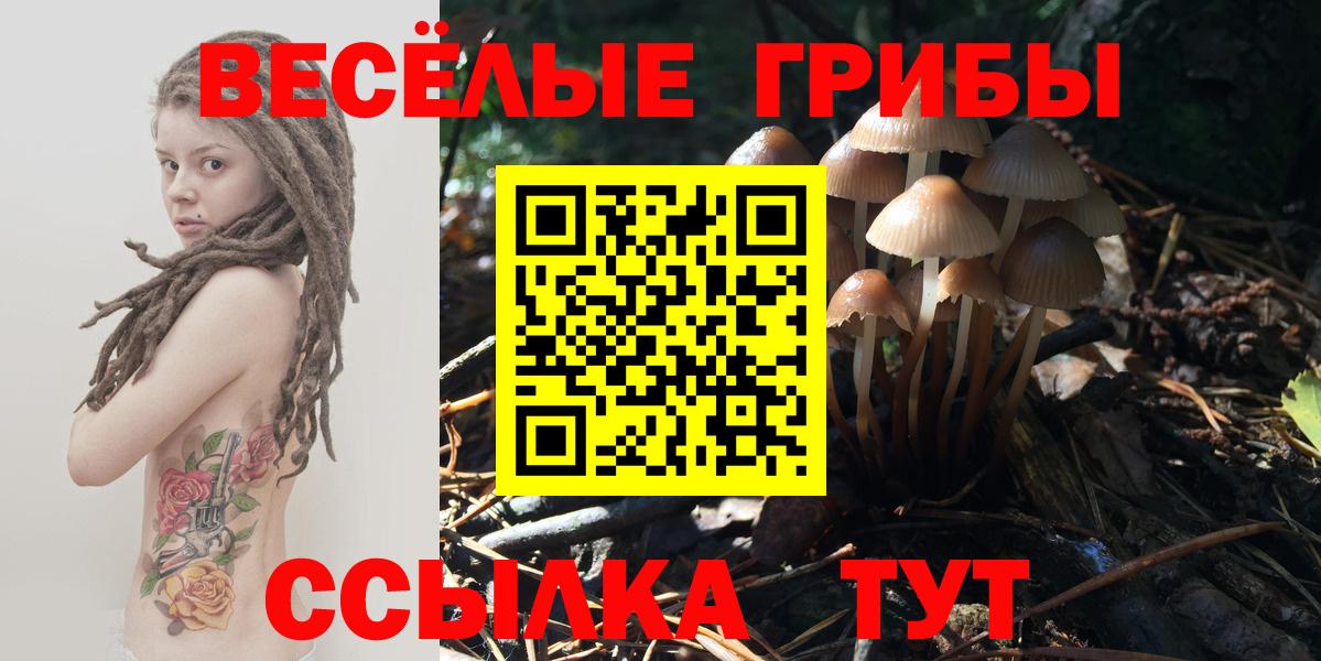 Партизанск  Галлюциногенные грибы Cubensis  Вход с VPN 