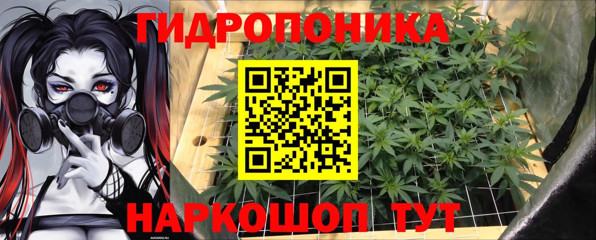 Партизанск  Бошки Шишки LSD WEED  Вход с VPN  Бошки Шишки индика  Марихуана сатива  Бошки марихуана Ganja 